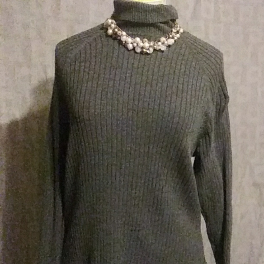 Gray sophisticated turtle kneck sweater